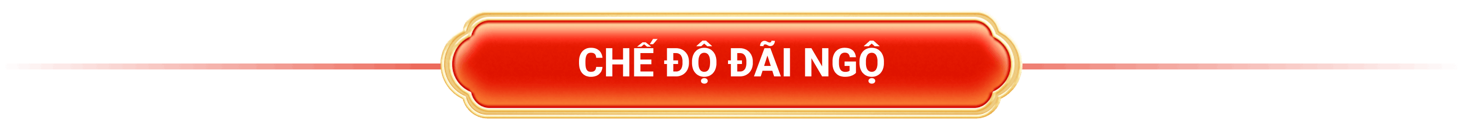 title-che-do-dai-ngo